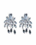 See Thru Me Earrings - Silver