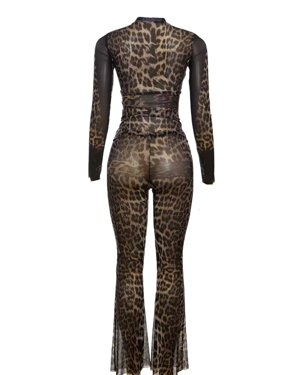 Entice Pant Set - Brown